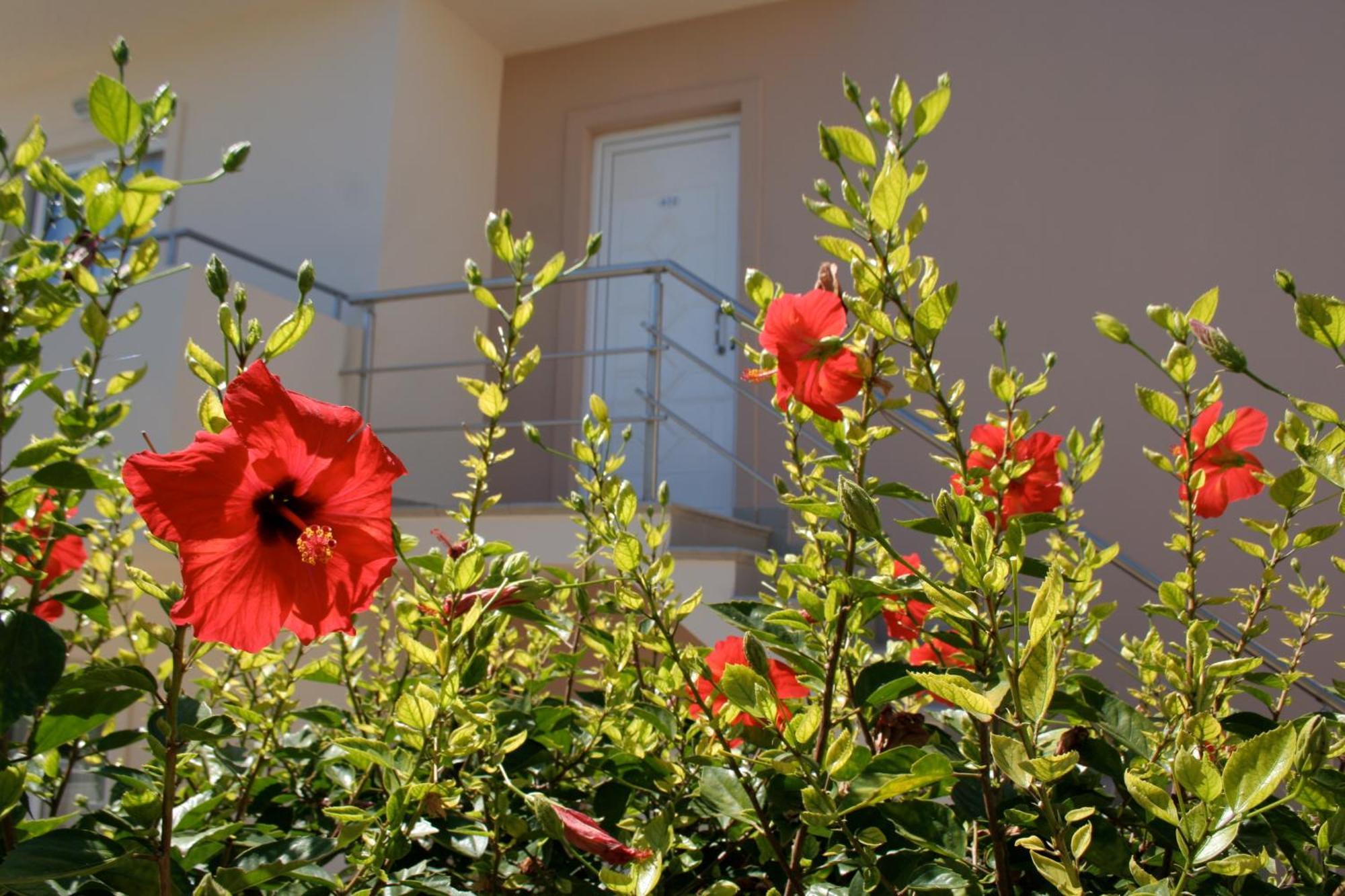 Amaryllis Front Beach Hotel Lardos Bagian luar foto
